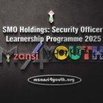 SMO Holdings